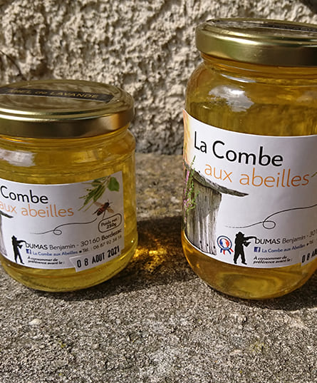 Description de l'image